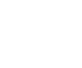 RZ resources